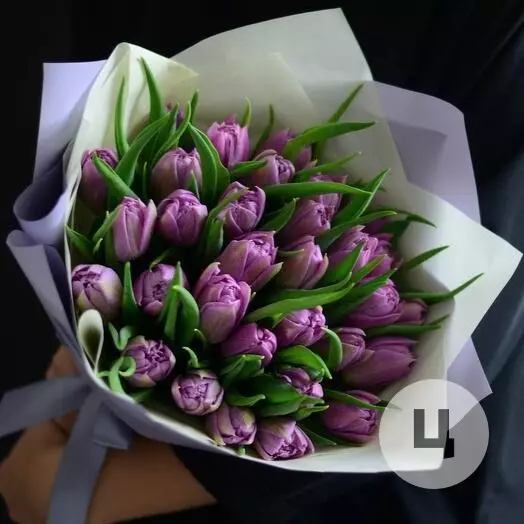 8 марта: как выбрать идеальный цветочный букет? Полное руководство для незабываемого подарка!